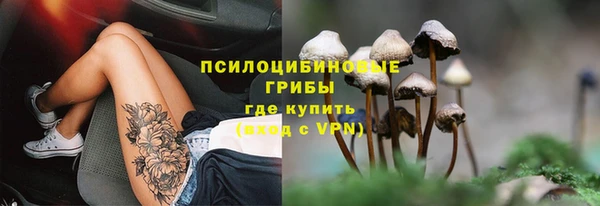 МДПВ Богородицк