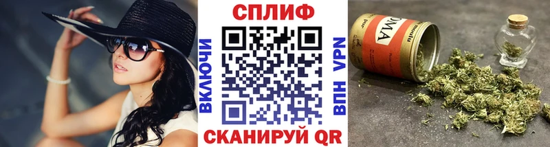 Конопля OG Kush  Гороховец 